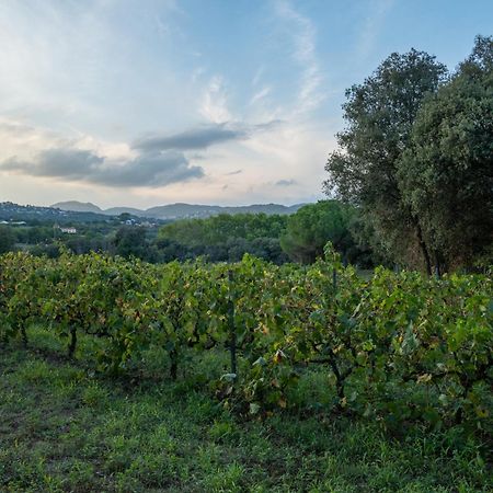 Casa Rural El Bruguer Vell Santa Eulalia de Ronsaná Dış mekan fotoğraf