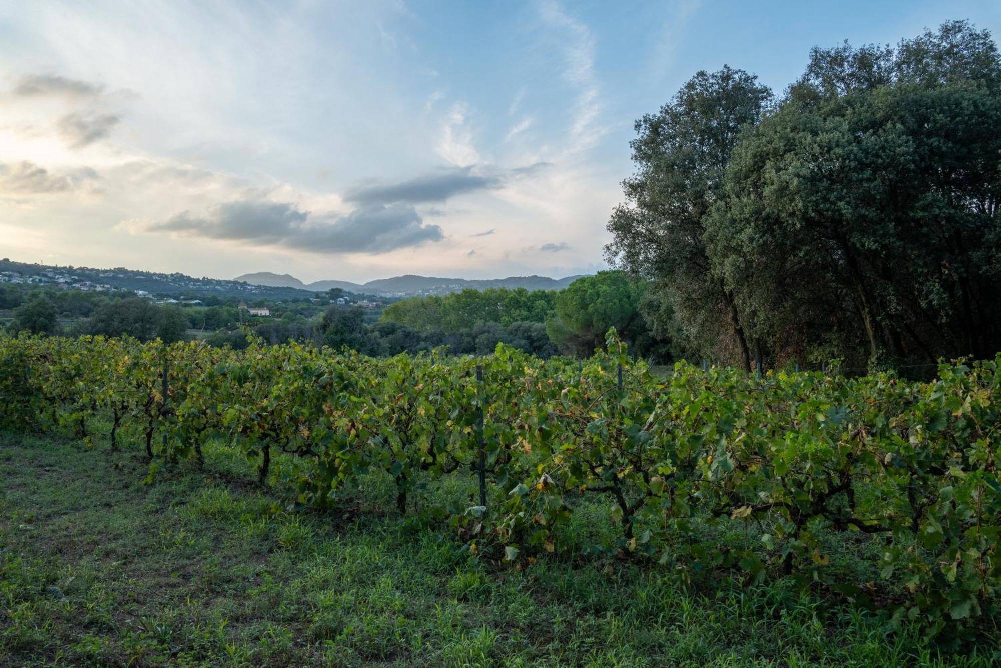Casa Rural El Bruguer Vell Santa Eulalia de Ronsaná Dış mekan fotoğraf
